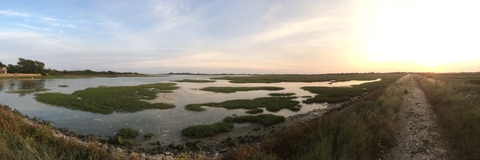 Video leaks u28364524