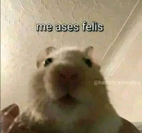 Video leaks u311434595