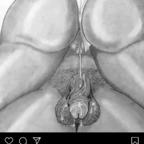 u32959469 OnlyFans Leaks 

 profile picture