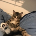 Download u3p0rnkitty OnlyFans leaks for free 

 profile picture