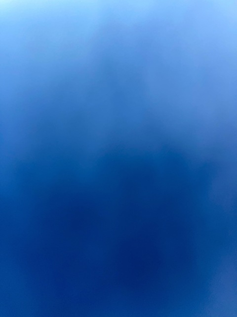 Video leaks u41007253