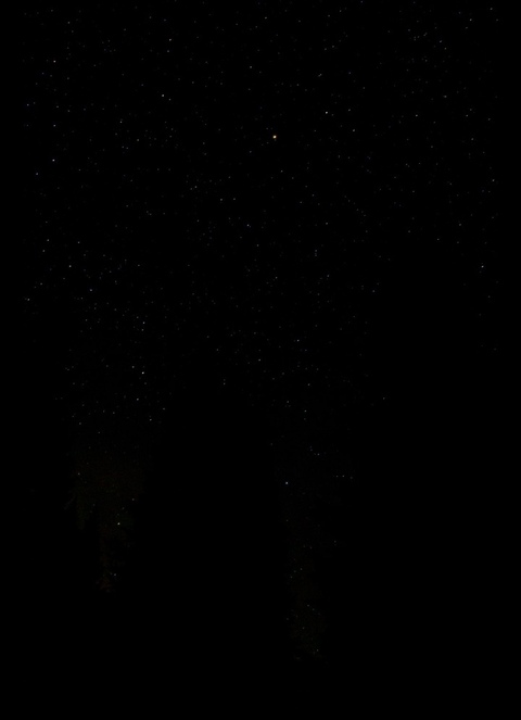 Video leaks u44632602