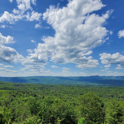 Video leaks u58970197