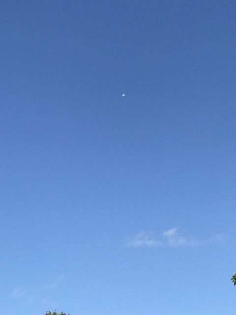 Video leaks u59621522