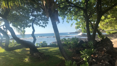 Video leaks u73937699