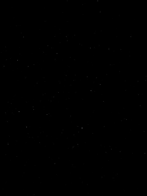 Video leaks u98991798