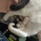 Onlyfans leaked unloveabledemonprincess 

 profile picture