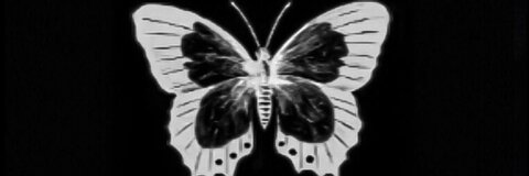 Video leaks urfavgeminiho