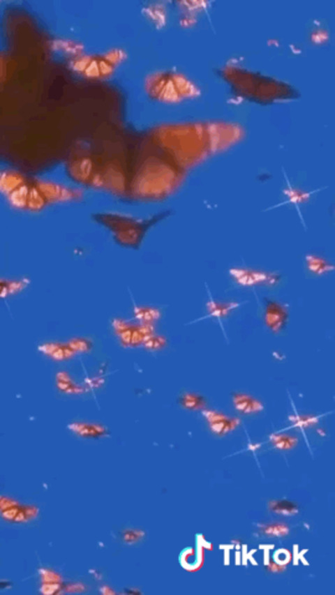 Video leaks urlocalbfstealer