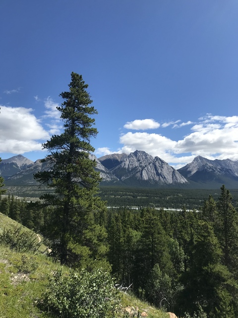 Video leaks user666999o