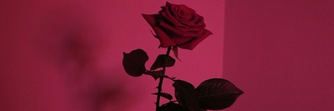 Video leaks usernina6