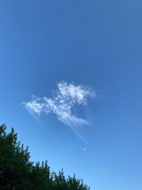 Video leaks valeri_cat