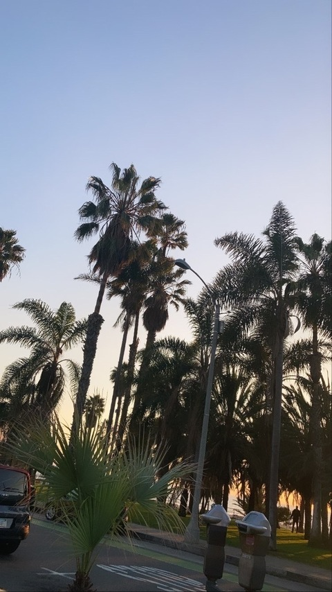 Video leaks vanillabeanyaya