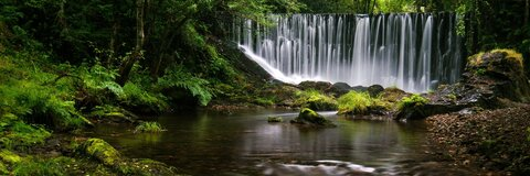 Video leaks veeveevixenof