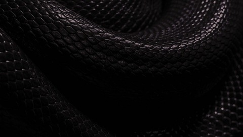 Video leaks venomousvanilla