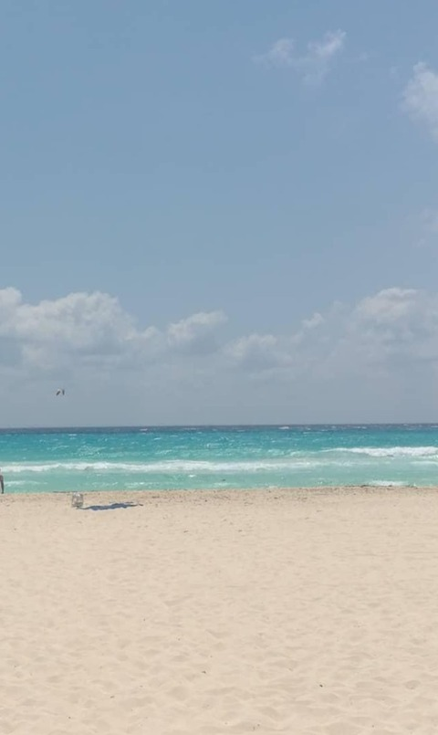 Video leaks venus6.9