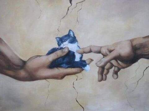 Video leaks veronicamayxo