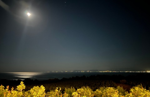 Video leaks verynormalcouple