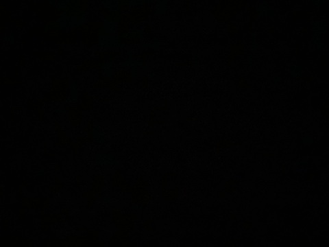 Video leaks vlaanderen