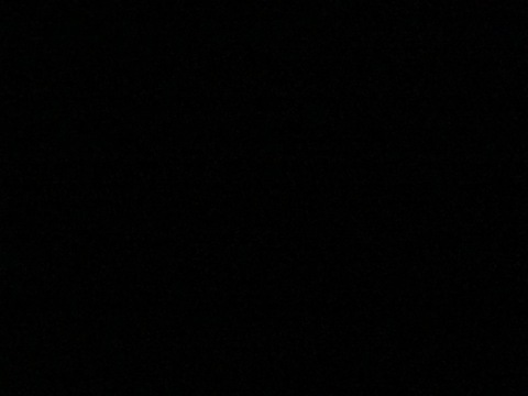 Video leaks vodkamango