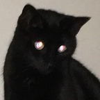 SubGxd voidqueen Leaked OnlyFans 

 profile picture