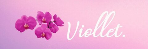 Video leaks vollethasky