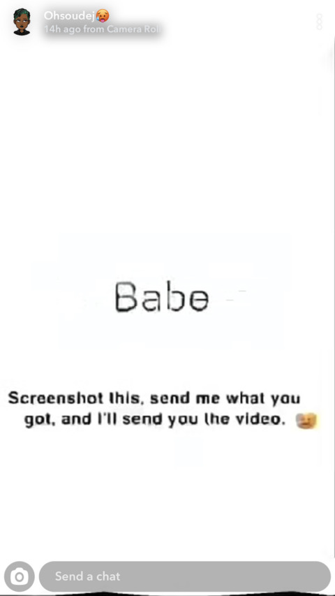 Video leaks vontheking