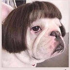 wakenbakee69 OnlyFans Leaked 

 profile picture