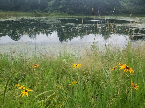 Video leaks wakingupsunday