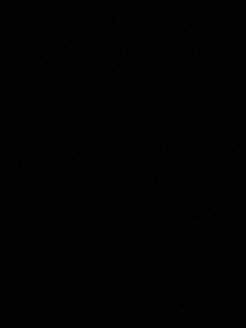 Video leaks wankboy