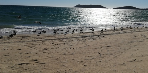 Video leaks westqueen