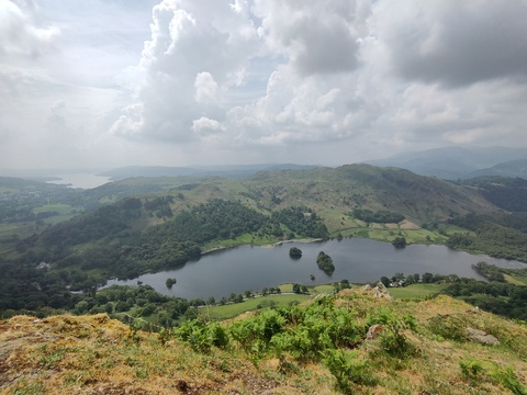 Video leaks wetfatdonkey