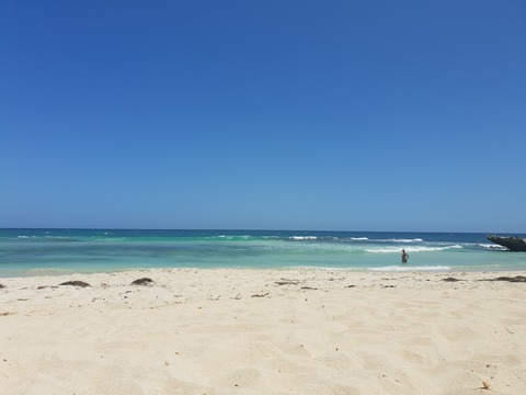 Video leaks whaletailwave