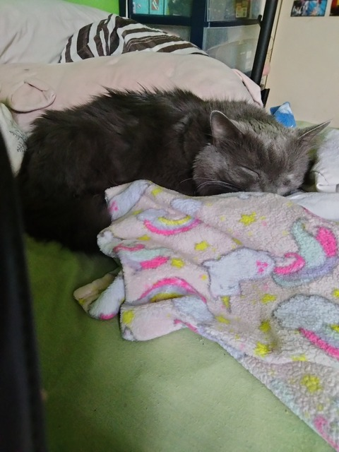 Video leaks wiccan.whovian13