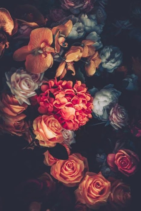 Video leaks wiiildchild