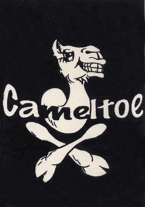 Video leaks wild_cameltoe