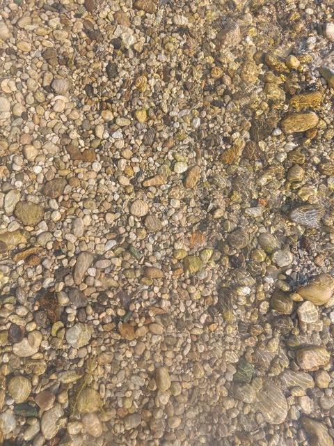 Video leaks wildd.girl
