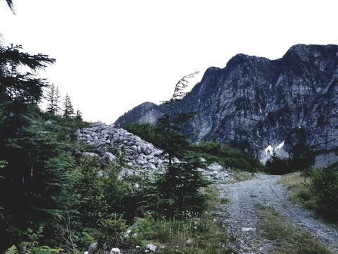 Video leaks wildrosebee