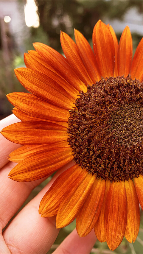 Video leaks wildselkie