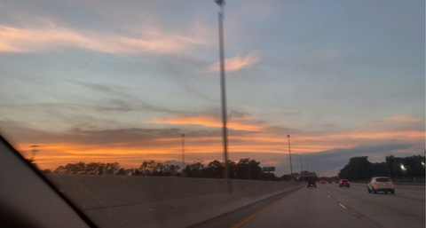 Video leaks willarose2021