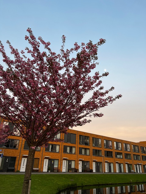 Video leaks willow.g