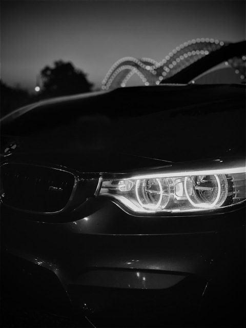 Video leaks wizardkelley