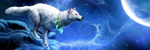 Video leaks wolfire1
