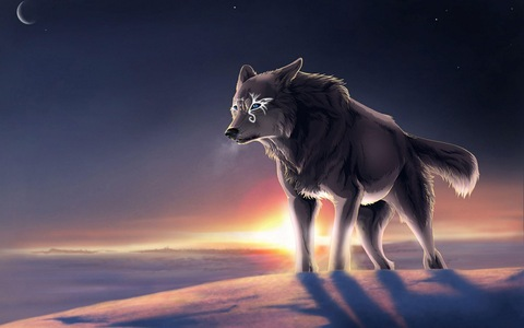 Video leaks wolfpositivity