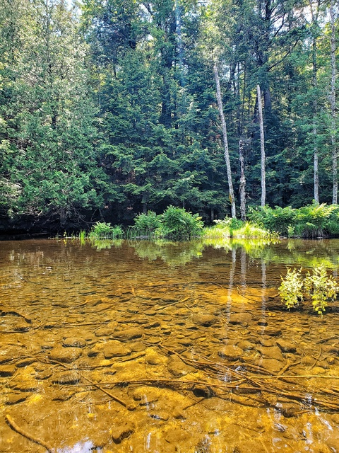 Video leaks woodlifesex