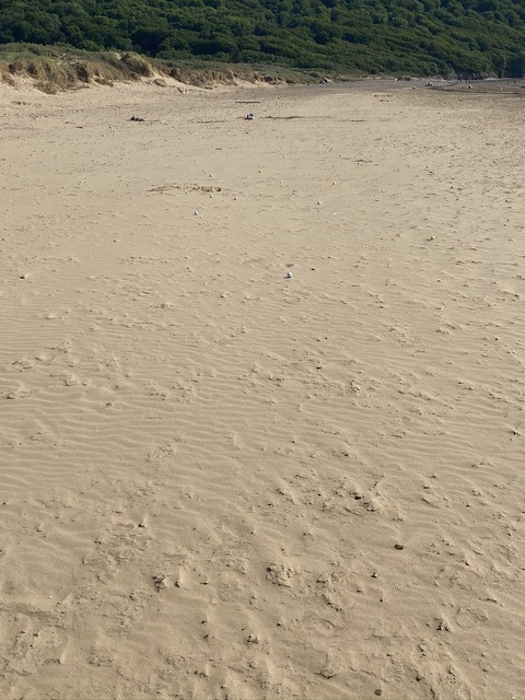 Video leaks wsmbull