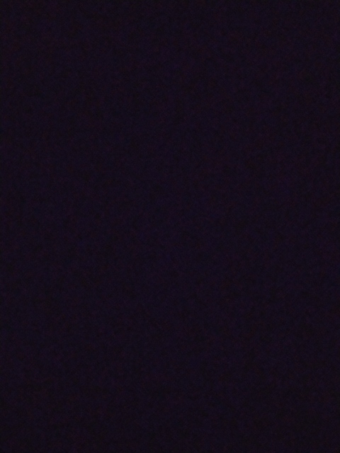 Video leaks wtf25