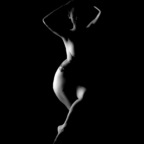 xellegeex Profile Picture
