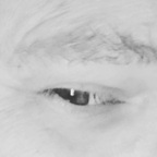 xeon82163071 OnlyFans Leaks 

 profile picture