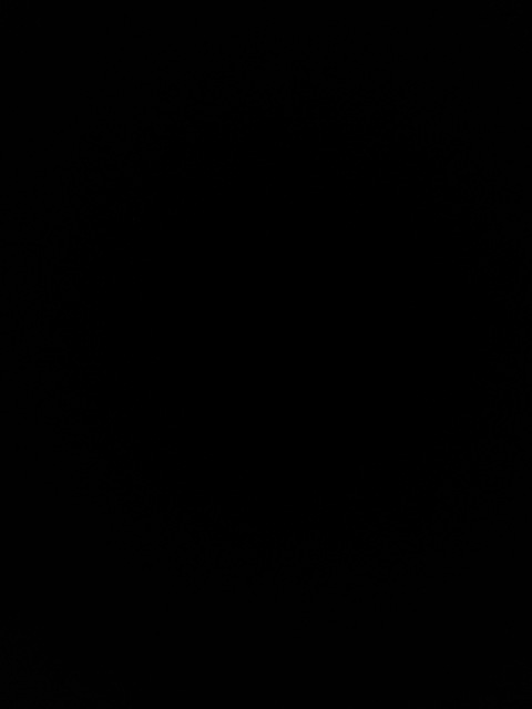 Video leaks xmkoannax